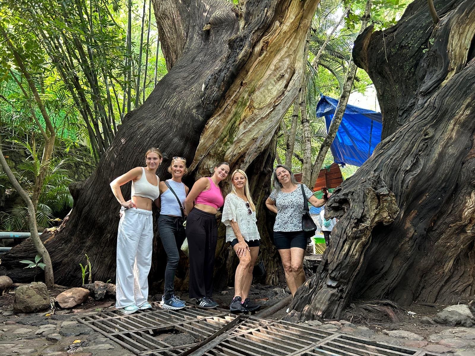 Retreat guests beneath an ancient ahuehuete tree